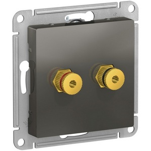 Изображение товара Акустическая розетка встраиваемая двойная (сталь) Systeme Electric AtlasDesign ATN000987
