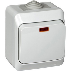 Изображение товара Выключатель накладной одноклавишный с подсветкой (серый) IP44 Systeme Electric BA10-045C