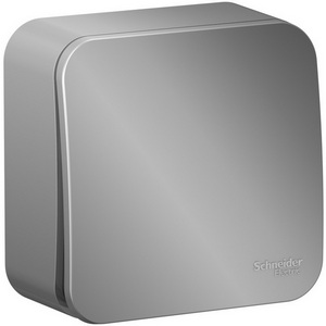 Изображение товара Выключатель накладной с самовозвратом одноклавишный (алюминий) Systeme Electric Blanca BLNCA101013