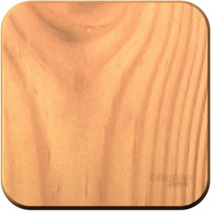 Изображение товара Выключатель накладной с самовозвратом одноклавишный (ясень) Systeme Electric Blanca BLNCA101015