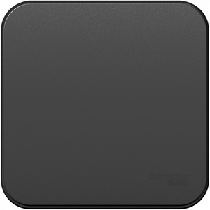 Изображение товара Выключатель накладной с самовозвратом одноклавишный (антрацит) Systeme Electric Blanca BLNCA101016