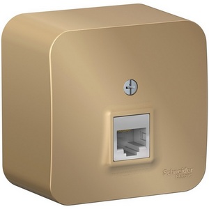 Изображение товара Розетка накладная Ethernet RJ-45 (титан) Systeme Electric Blanca BLNIA045004