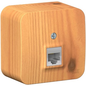 Изображение товара Розетка накладная Ethernet RJ-45 (ясень) Systeme Electric Blanca BLNIA045005