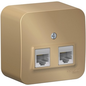 Изображение товара Розетка накладная двойная Ethernet RJ-45 (титан) Systeme Electric Blanca BLNIA045454