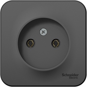 Изображение товара Розетка накладная без заземления (антрацит) Systeme Electric Blanca BLNRA000106