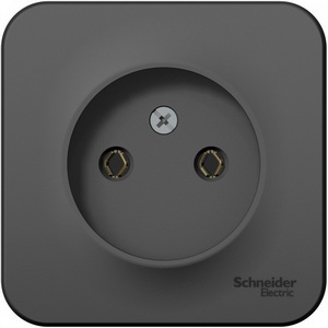 Изображение товара Розетка накладная без заземления (антрацит) Systeme Electric Blanca BLNRA000116