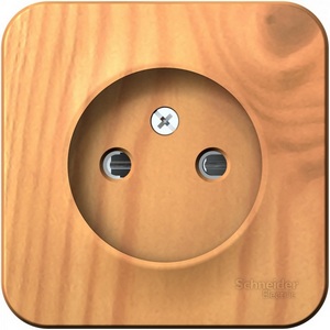 Изображение товара Розетка накладная без заземления со шторками (ясень) Systeme Electric Blanca BLNRA001115