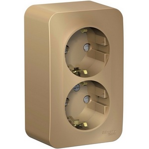 Изображение товара Розетка накладная двойная с заземлением и шторками (титан) Systeme Electric Blanca BLNRA011204
