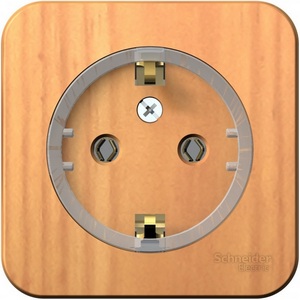 Изображение товара Розетка накладная с заземлением (ясень) Systeme Electric Blanca BLNRA110115