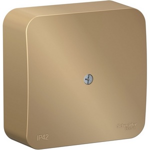 Изображение товара Распределительная коробка (титан) IP42 Systeme Electric Blanca BLNRK000014