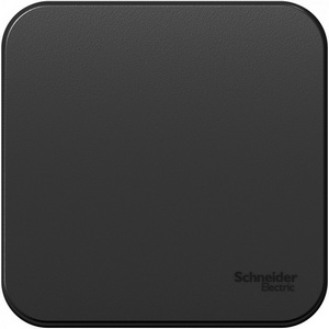 Изображение товара Выключатель накладной одноклавишный (антрацит) Systeme Electric Blanca BLNVA101006