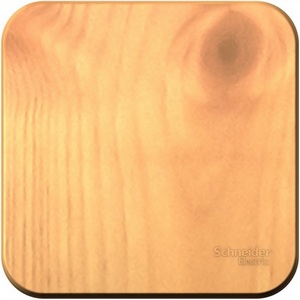 Изображение товара Выключатель накладной одноклавишный (ясень) Systeme Electric Blanca BLNVA101015