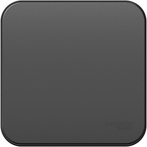 Изображение товара Выключатель накладной одноклавишный (антрацит) Systeme Electric Blanca BLNVA101016