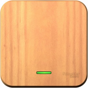 Изображение товара Выключатель накладной одноклавишный с подсветкой (ясень) Systeme Electric Blanca BLNVA101105