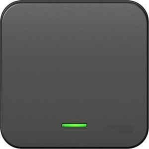 Изображение товара Выключатель накладной одноклавишный с подсветкой (антрацит) Systeme Electric Blanca BLNVA101116