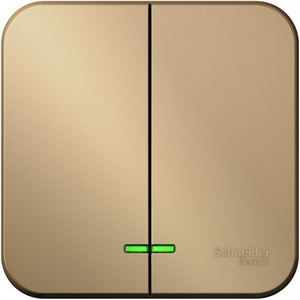 Изображение товара Выключатель накладной двухклавишный (титан) Systeme Electric Blanca BLNVA105004