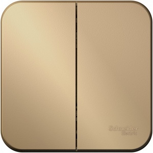 Изображение товара Выключатель накладной двухклавишный (титан) Systeme Electric Blanca BLNVA105014