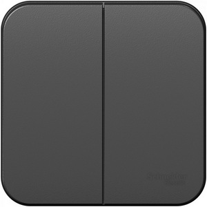 Изображение товара Выключатель накладной двухклавишный (антрацит) Systeme Electric Blanca BLNVA105016