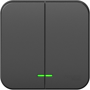 Изображение товара Выключатель накладной двухклавишный с подсветкой (антрацит) Systeme Electric Blanca BLNVA105106