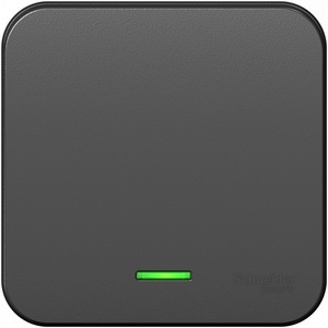 Изображение товара Выключатель накладной одноклавишный с подсветкой (антрацит) Systeme Electric Blanca BLNVA106116