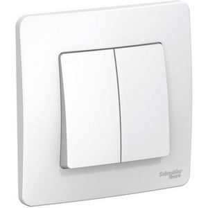 Изображение товара Выключатель встраиваемый двухклавишный (белый) Systeme Electric Blanca BLNVS010501