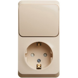 Изображение товара Розетка накладная с заземлением с одноклавишным выключателем (кремовый) Systeme Electric BPA16-201K