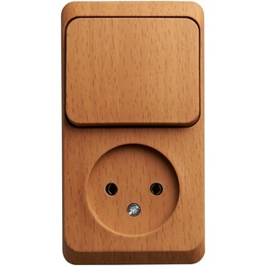 Изображение товара Розетка накладная без заземления с одноклавишным выключателем (бук) Systeme Electric BPA16-204T