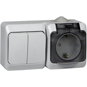 Изображение товара Розетка накладная с заземлением и крышкой с двухклавишным выключателем (серый) Systeme Electric Etude BPA16-242C