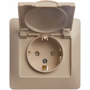 Изображение товара Розетка встраиваемая с заземлением, шторками и крышкой (бежевый) Systeme Electric Glossa GSL000246