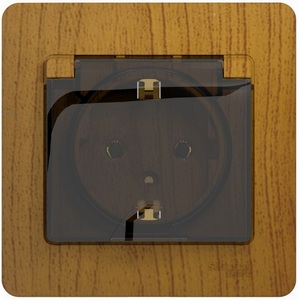 Изображение товара Розетка встраиваемая с заземлением, шторками и крышкой (дуб) Systeme Electric Glossa GSL000546