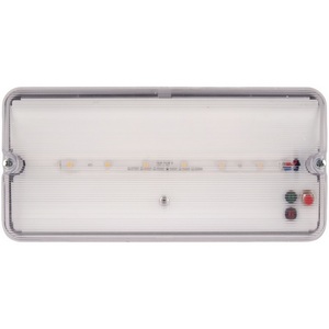 Изображение товара Светильник светодиодный влагозащищенный с БАП 4000K Uniel ULW-K25B 6W/4000K/EMG IP65 WHITE