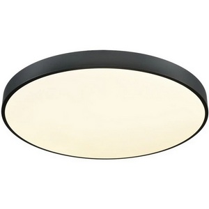 Изображение товара Потолочный светильник светодиодный с пультом Velante 444-667-01