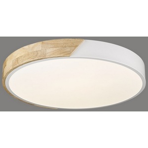 Изображение товара Потолочный светильник круглый LED Velante 445-027-01