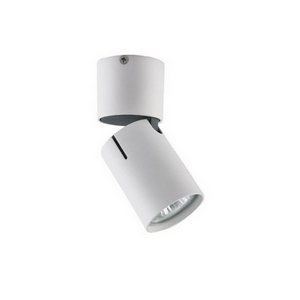 Изображение товара Спот Vele Luce Carrisi VL8061S21