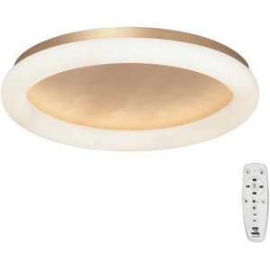 Изображение товара Потолочный светильник светодиодный Vitaluce V2539DT-8/1PL