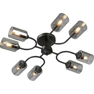 Изображение товара Потолочная люстра на штанге Vitaluce V2823-1/8PL