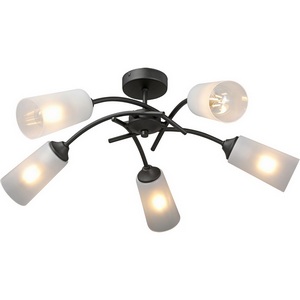 Изображение товара Потолочная люстра на штанге Vitaluce V2850-1/5PL