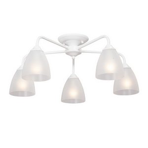 Изображение товара Потолочная люстра Vitaluce V3946-0/5PL