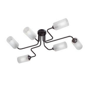 Изображение товара Потолочная люстра Vitaluce V4310-1/6PL