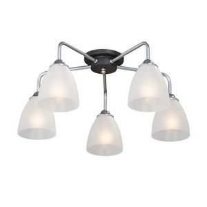 Изображение товара Потолочная люстра Vitaluce V4500-9/5PL