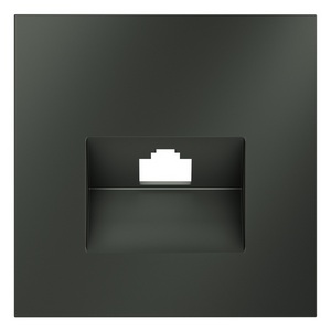 Изображение товара Накладка для розетки компьютерной RJ45 Voltum S70 VLS001306 (титан)