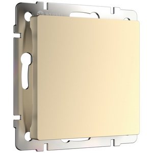 Изображение товара Заглушка встраиваемая (шампань) Werkel W1159211 (a050855)