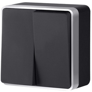Изображение товара Выключатель двухклавишный Gallant Werkel W5020034 (черный с серебром)