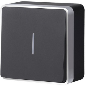 Изображение товара Выключатель одноклавишный с подсветкой Gallant Werkel W5010134 (черный с серебром)