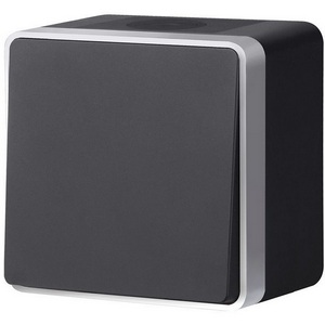 Изображение товара Выключатель одноклавишный влагозащищенный Gallant Werkel W5010234 (черный с серебром)