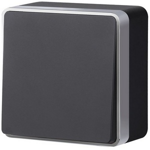 Изображение товара Выключатель одноклавишный проходной Gallant Werkel W5012034 (черный с серебром)