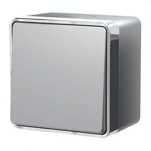 Изображение товара Выключатель накладной одноклавишный влагозащищенный Gallant (серебряный) IP44 Werkel W5010206 (a052767)