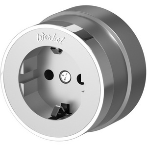 Изображение товара Розетка с заземлением Vintage (серебро матовый/хром) Werkel W5871054 (a055929)