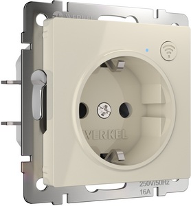 Изображение товара Умная розетка встраиваемая (слоновая кость) Wi-Fi Werkel W1171603 (a056421)