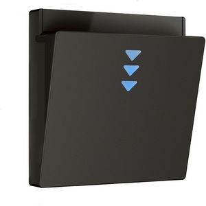 Изображение товара Накладка для электронного карточного выключателя (черный) Werkel W1163108 (a062006)